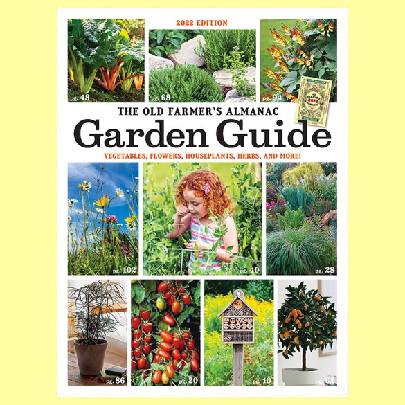 2022 Garden Guide